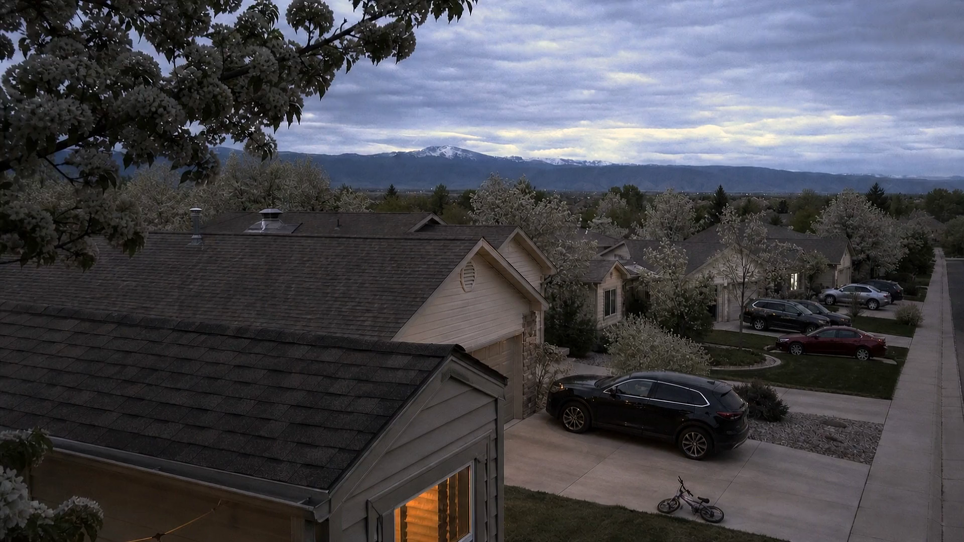 Illustration: a low descent toward the roof of a single-story home, gutter line and shingles filling the lower frame, spring trees and neighboring rooftops beyond.